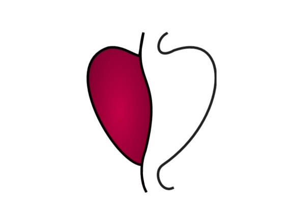 KIND Heart Logo
